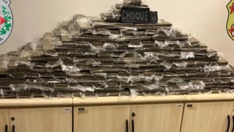 Polícias Federal e Militar apreendem 250kg de maconha em operação na Paraíba