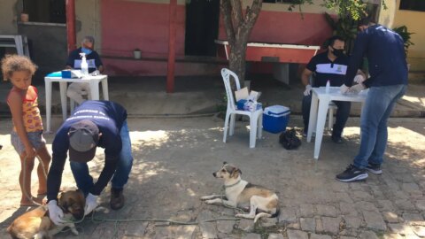 Secretaria de Saúde realiza ações contra a Leishmaniose em Catingueira