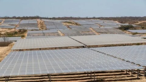 Sertão da Paraíba terá maior parque solar da América Latina e mais de 2 mil empregos serão gerados