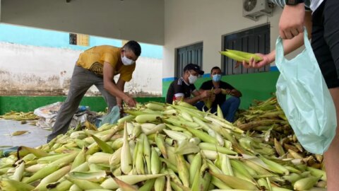 Prefeitura de Catingueira beneficia quase 700 famílias com entrega de alimentos do PAA