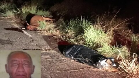 Taxista morre após colidir carro em animal solto na pista, no Sertão Paraíba