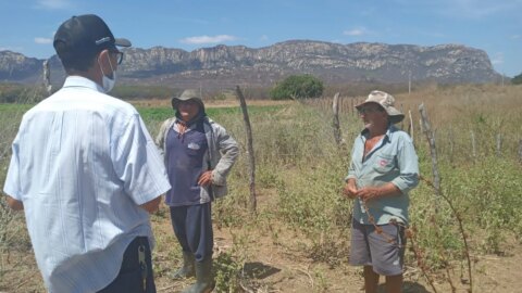 Agricultores de Catingueira são contemplados pelo Governo do Estado com projeto de distribuição de palma forrageira
