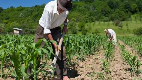 Agricultores da cidade de Catingueira são beneficiados com recursos do Garantia-Safra