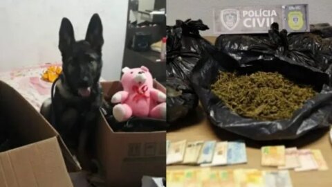 Mulher é presa com urso de pelúcia recheado com 10 quilos de maconha, na Paraíba