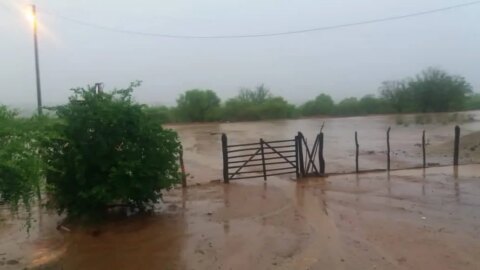 Sertão da Paraíba registra chuvas em dezenas de municípios neste fim de semana. Veja os índices oficiais