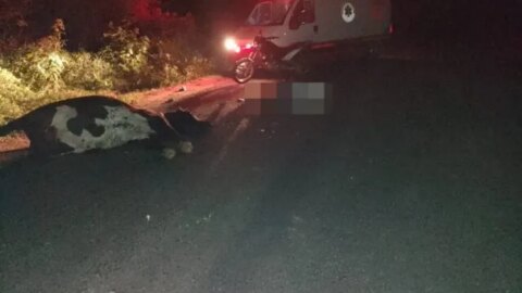 Motociclista morre após colidir em animal entre Taperoá e Livramento