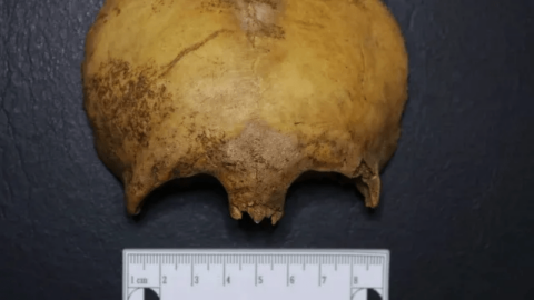 Ossos humanos de 1,6 mil anos são encontrados na Paraíba