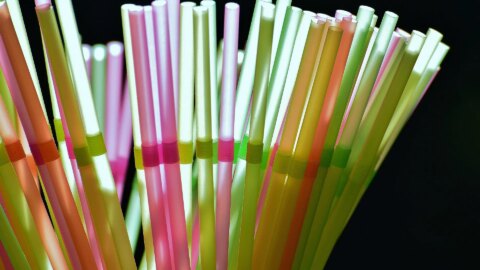 Lei que proíbe venda e distribuição de canudos de plástico descartável entra em vigor na Paraíba