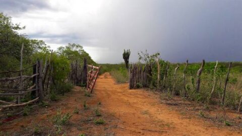 Chove em cerca de 100 municípios da Paraíba de ontem para hoje. Veja os índices oficiais