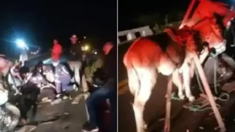 Três homens ficam feridos em acidente envolvendo moto e carroça em Patos