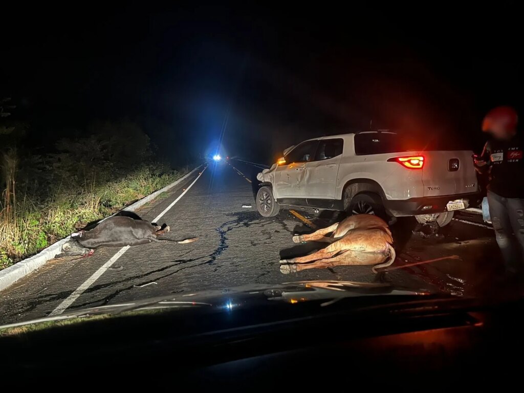 Animais soltos na pista provocam acidente com carro em Itaporanga