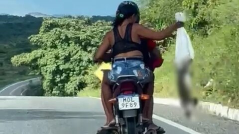Polícia abre inquérito contra casal que largou gatos em movimento entre Olho D Água e Piancó