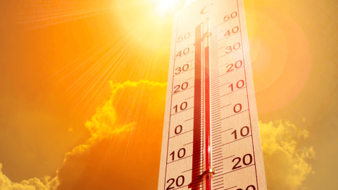 Temperatura sobe na Paraíba e Sertão pode registrar até 38 graus; Brasil enfrenta onda de calor