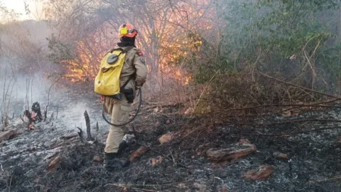 Incêndio entre Aguiar e outros municípios do Sertão já dura três dias