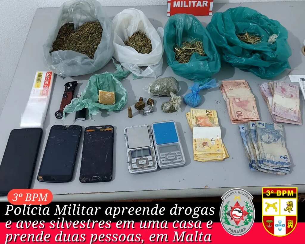 Polícia Militar apreende drogas e aves silvestres, e prende duas pessoas, em Malta