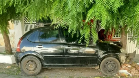 Motorista é suspeito de atirar em passageiro, perder o controle do carro e bater em árvore, em Patos. O homem que sofreu os tiros morreu no hospital