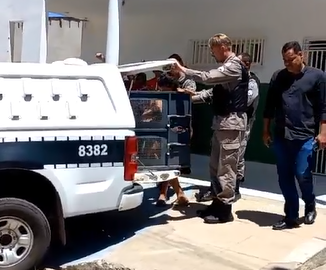 Mãe e companheira são presas suspeitas de matar bebê de 6 meses no Sertão