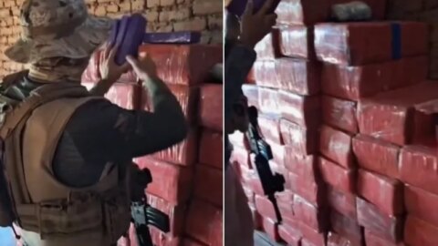 Polícia apreende aproximadamente a uma tonelada de maconha no Sertão do Estado
