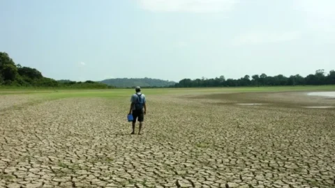 El Niño deve provocar estiagem severa no Nordeste em 2024