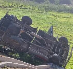 Caminhonete que transportava gado tomba em rodovia, no Vale do Piancó