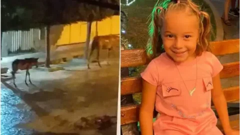 Criança de cinco anos passa por cirurgia em Patos após sofrer coice de cavalo
