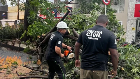 Fortes chuvas derrubam árvores na cidade de Patos