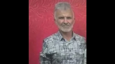 Agricultor morre vítima de ataque de abelhas na PB