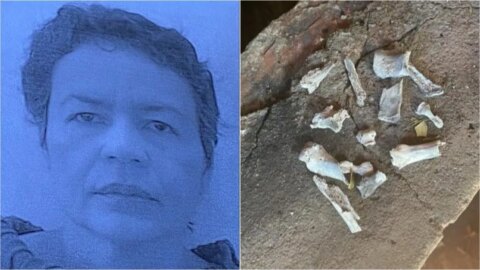 Paraibano é morto, esquartejado e queimado em churrasqueira pela esposa no PR; mulher confessou crime e foi presa