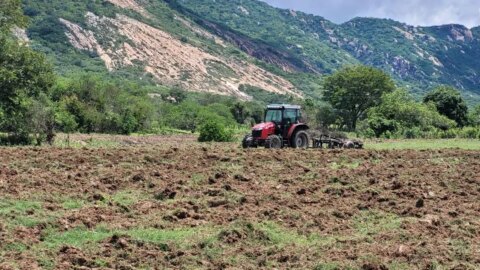 Prefeitura de Catingueira disponibiliza 9 tratores, intensifica corte de terra e beneficia agricultores do município