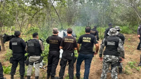 Policiais destroem plantio de maconha e prendem duas pessoas durante operação, no Sertão da PB