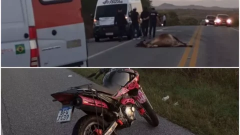 Grave acidente na BR-230 envolve van de banda, moto e vaca, em Patos