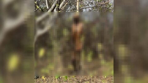 Corpo em avançado estado de decomposição é encontrado, no Vale do Piancó