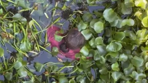 Mulher é resgatada após cair de ponte, em Patos