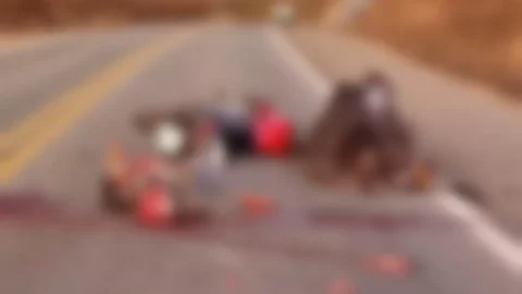 Motociclista morre após colisão com vaca na BR-230, em Condado; vítima teve crânio esmagado por outro veículo