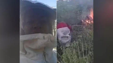 Em ato de revolta, casal destrói enxame de abelhas responsável por ataque ao ex-prefeito Netto Gomes, em São José de Espinharas