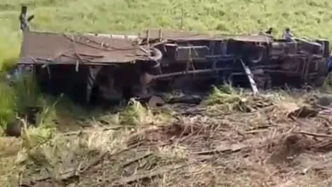 Caminhão carregado de gado tomba e animais morrem no local, no Vale do Piancó