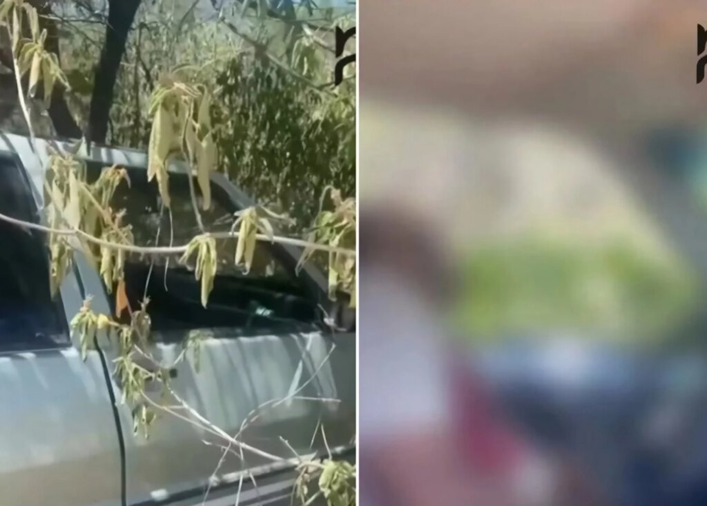 Homem é morto a tiros em Olho D’Água-PB