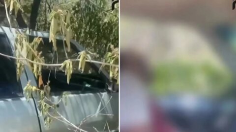 Homem é morto a tiros em Olho D’Água-PB