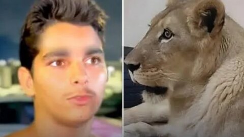 Jovem que invadiu jaula de leoa e morreu tinha histórico familiar de esquizofrenia