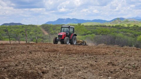 Prefeitura de Catingueira intensifica corte de terra e disponibiliza 6 tratores para atender o homem do campo