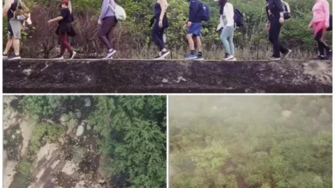 Trilha Mãe Luzia reúne visitantes e reforça potencial do ecoturismo em Catingueira