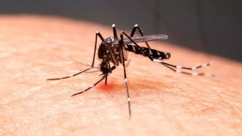 Duas crianças morrem com suspeita de dengue grave, no Sertão da Paraíba