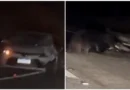 Carro fica destruído após colidir com vaca em rodovia de Piancó