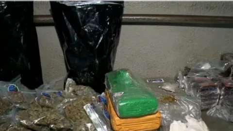 Operação policial apreende drogas avaliadas em R$ 1 milhão na Paraíba