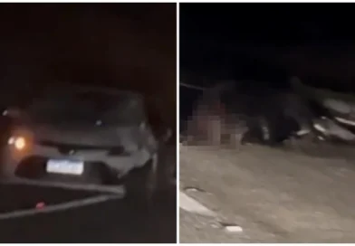 Carro fica destruído após colidir com vaca em rodovia de Piancó