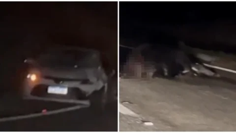 Colisão entre caminhão e carro deixa quatro feridos no Sertão
