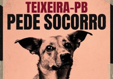 Número de cães mortos por suspeita de envenenamento chega a 204 e população cobra respostas, em Teixeira